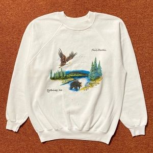 Vintage 80’s Smoky Mountains graphic crewneck sweatshirt